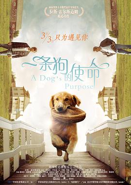可以在线观看黄色的网站